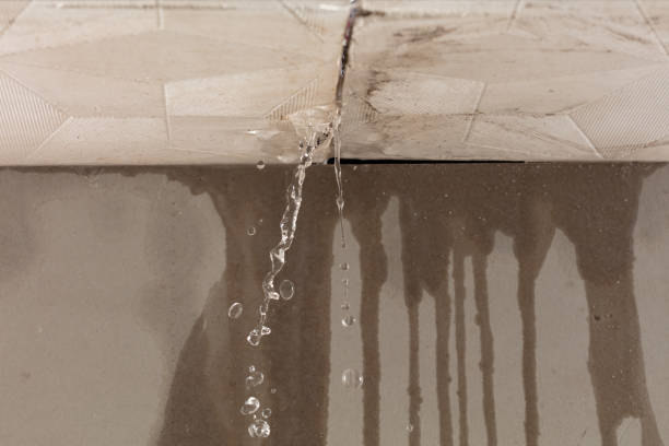 Professional Sewage Cleanup technician working in Cutler, CA